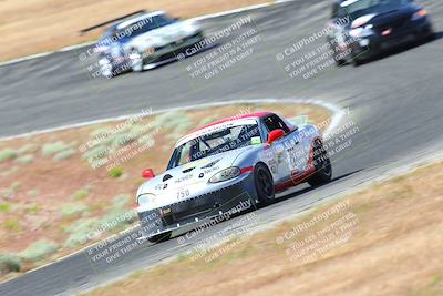 media/May-06-2023-Lucky Dog Racing (Sat) [[8f2256f436]]/Turn 2 10a/